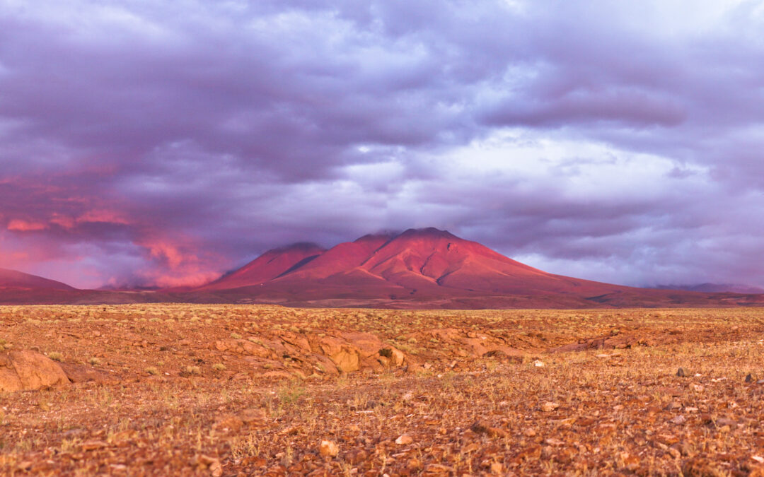 National Indigenous Peoples’ Day: ALMA and Its Connection to Local Communities